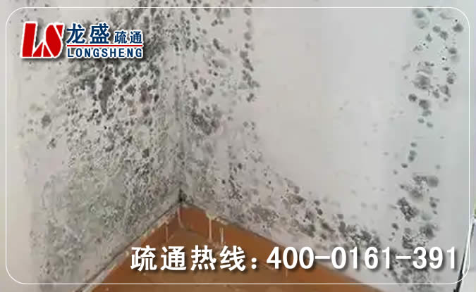 海珠区除菌除霉味